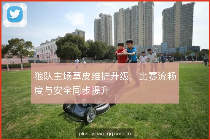 狼队主场草皮维护升级，比赛流畅度与安全同步提升